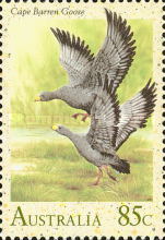 Stamp 1242