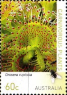 Stamp 3294