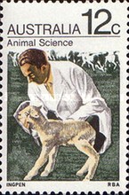 Stamp 468