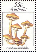 Stamp 763