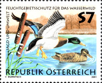 Stamp 2384