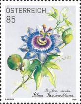 Stamp 3537