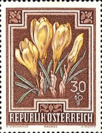 Stamp 894