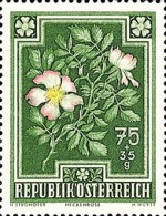 Stamp 898