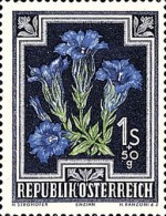 Stamp 900