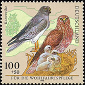 Stamp 1891