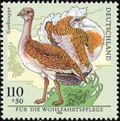 Stamp 1893