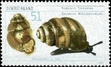 Stamp 2137