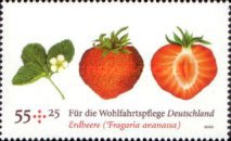 Stamp 2586