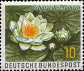 Stamp 164