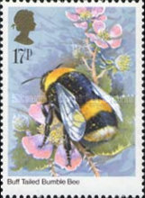 Stamp 1003