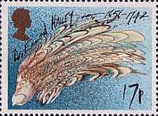 Stamp 1041