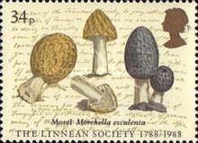 Stamp 1115