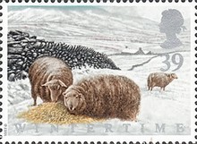 Stamp 1357