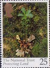 Stamp 1545