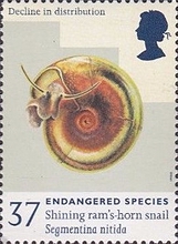 Stamp 1706