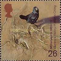 Stamp 1800