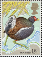 Stamp 800