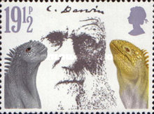 Stamp 888