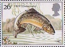 Stamp 921