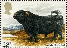 Stamp 963