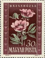 Stamp 1138