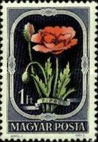 Stamp 1234