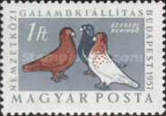 Stamp 1531