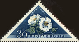 Stamp 1558