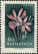 Stamp 1560