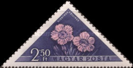 Stamp 1563