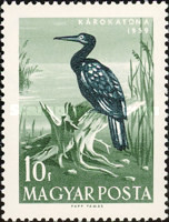 Stamp 1616