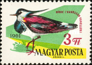 Stamp 1838