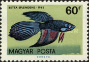 Stamp 1846