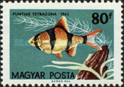 Stamp 1847