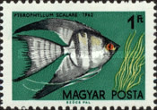 Stamp 1848