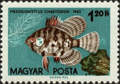 Stamp 1849