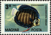 Stamp 1852