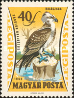 Stamp 1905