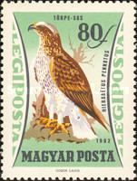 Stamp 1907