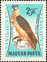 Stamp 1909