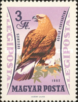 Stamp 1910