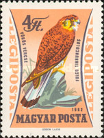 Stamp 1911