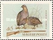 Stamp 2104