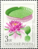 Stamp 2197