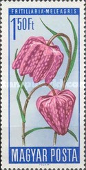 Stamp 2239