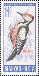 Stamp 2257