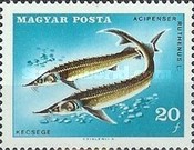 Stamp 2367