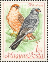 Stamp 2424