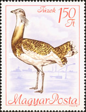 Stamp 2426